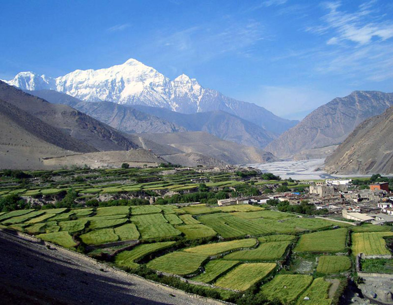 Jomsom Muktinath Trek