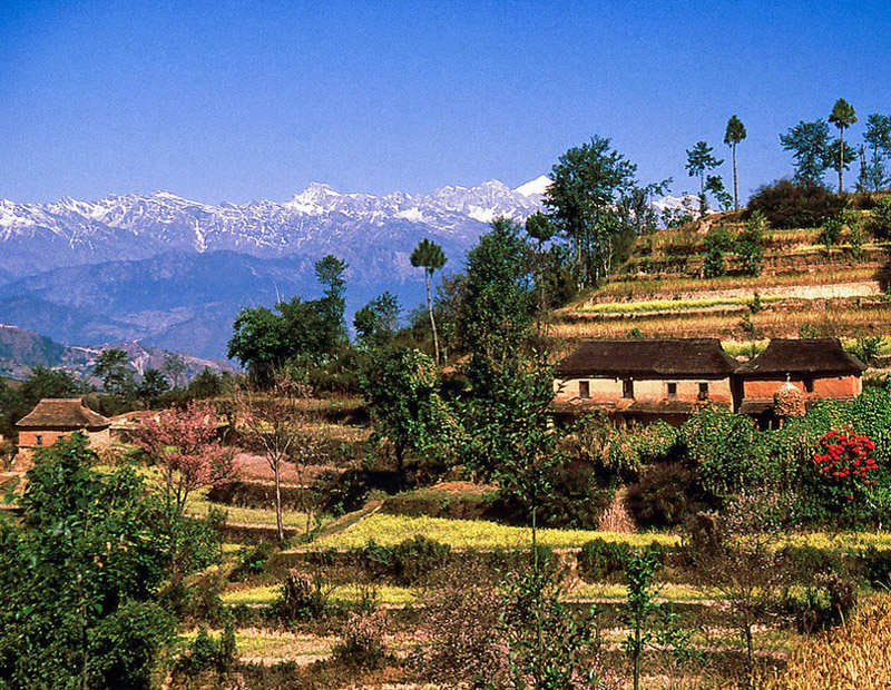 Nagarkot Day Hiking