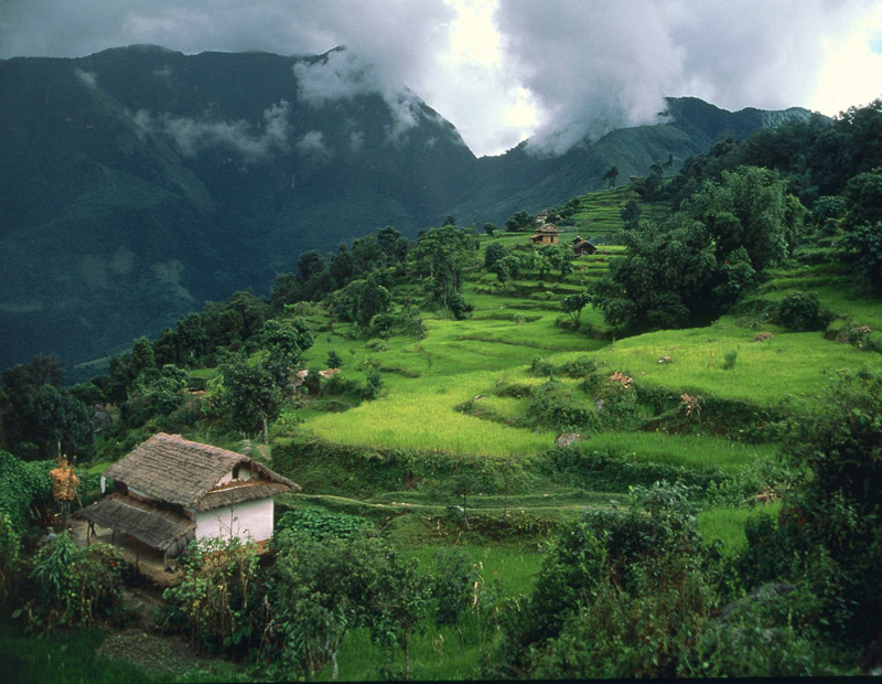 Arun Valley Trek