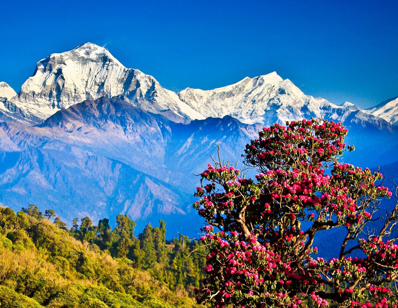 Annapurna Luxury Trek