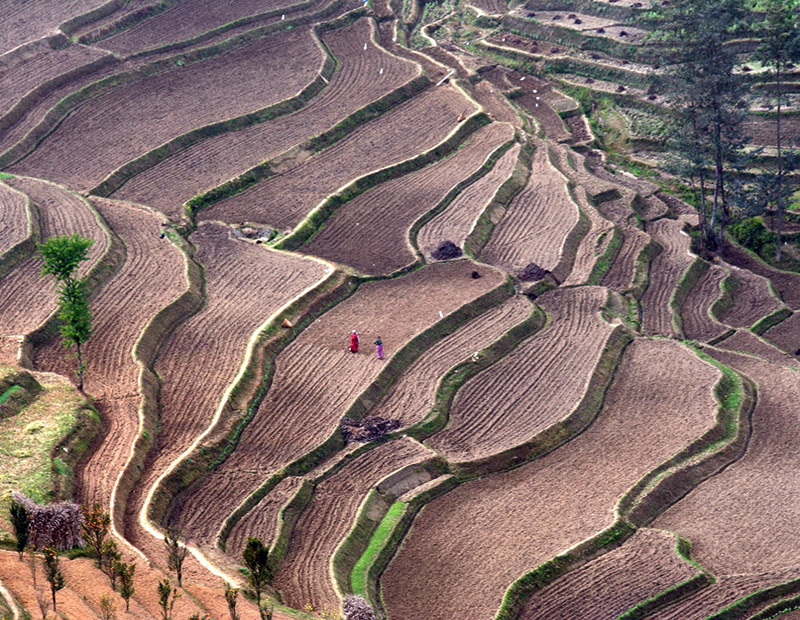 Balthali village Trek