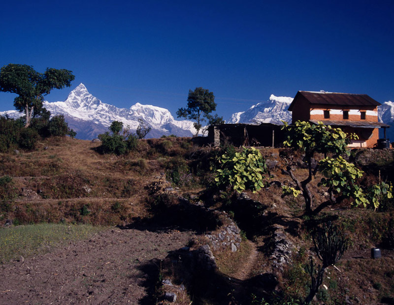 Chaubas Hill and Timal Trek