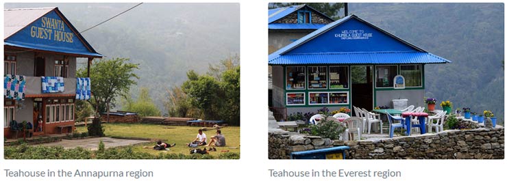 Tea House Trek in Nepal