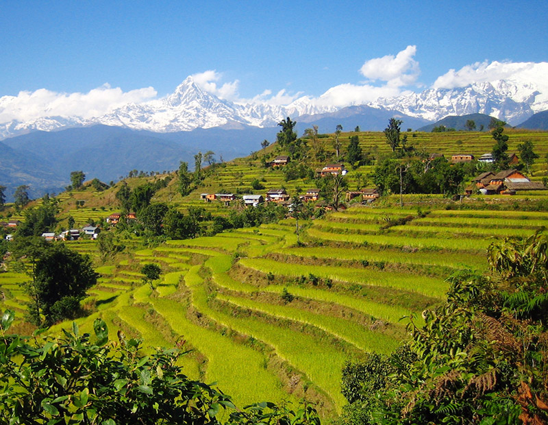 Pokhara Royal Trek